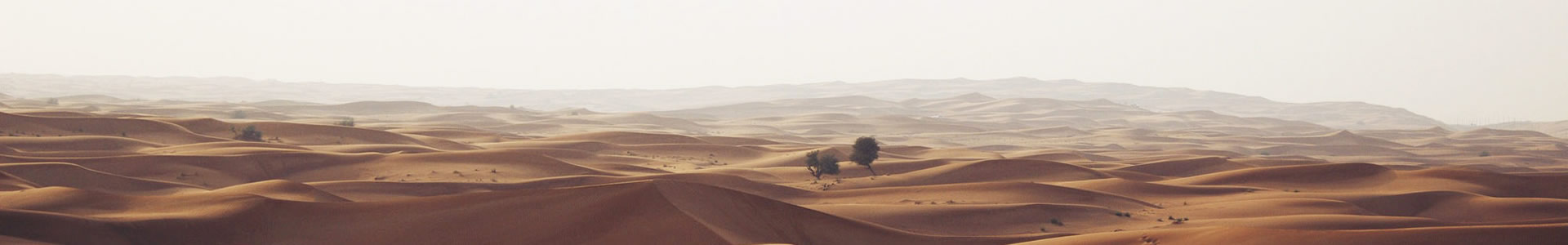 ĴԵƼ޹˾